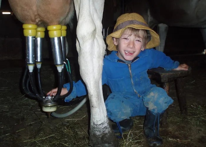 Lechlihof Guest house Ischgl