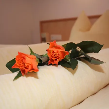 Lechlihof Konukevi Ischgl