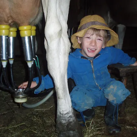 Lechlihof Konukevi Ischgl