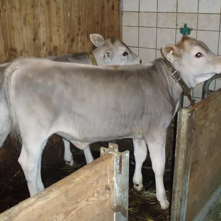 Lechlihof Konukevi Ischgl